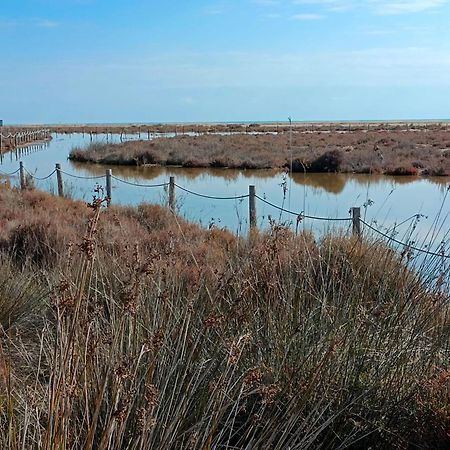 Rincon Del Delta, Apartamento En El Delta Del Ebro, Playa Trabucador Amposta, Tarragona L'Eucaliptus エクステリア 写真