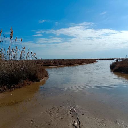 Rincon Del Delta, Apartamento En El Delta Del Ebro, Playa Trabucador Amposta, Tarragona L'Eucaliptus エクステリア 写真