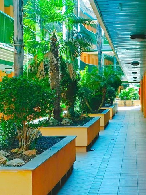 Rincon Del Delta, Apartamento En El Delta Del Ebro, Playa Trabucador Amposta, Tarragona L'Eucaliptus エクステリア 写真