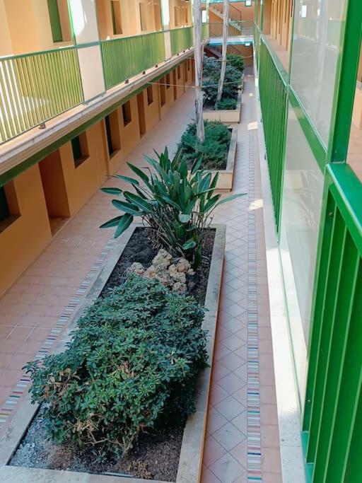 Rincon Del Delta, Apartamento En El Delta Del Ebro, Playa Trabucador Amposta, Tarragona L'Eucaliptus エクステリア 写真