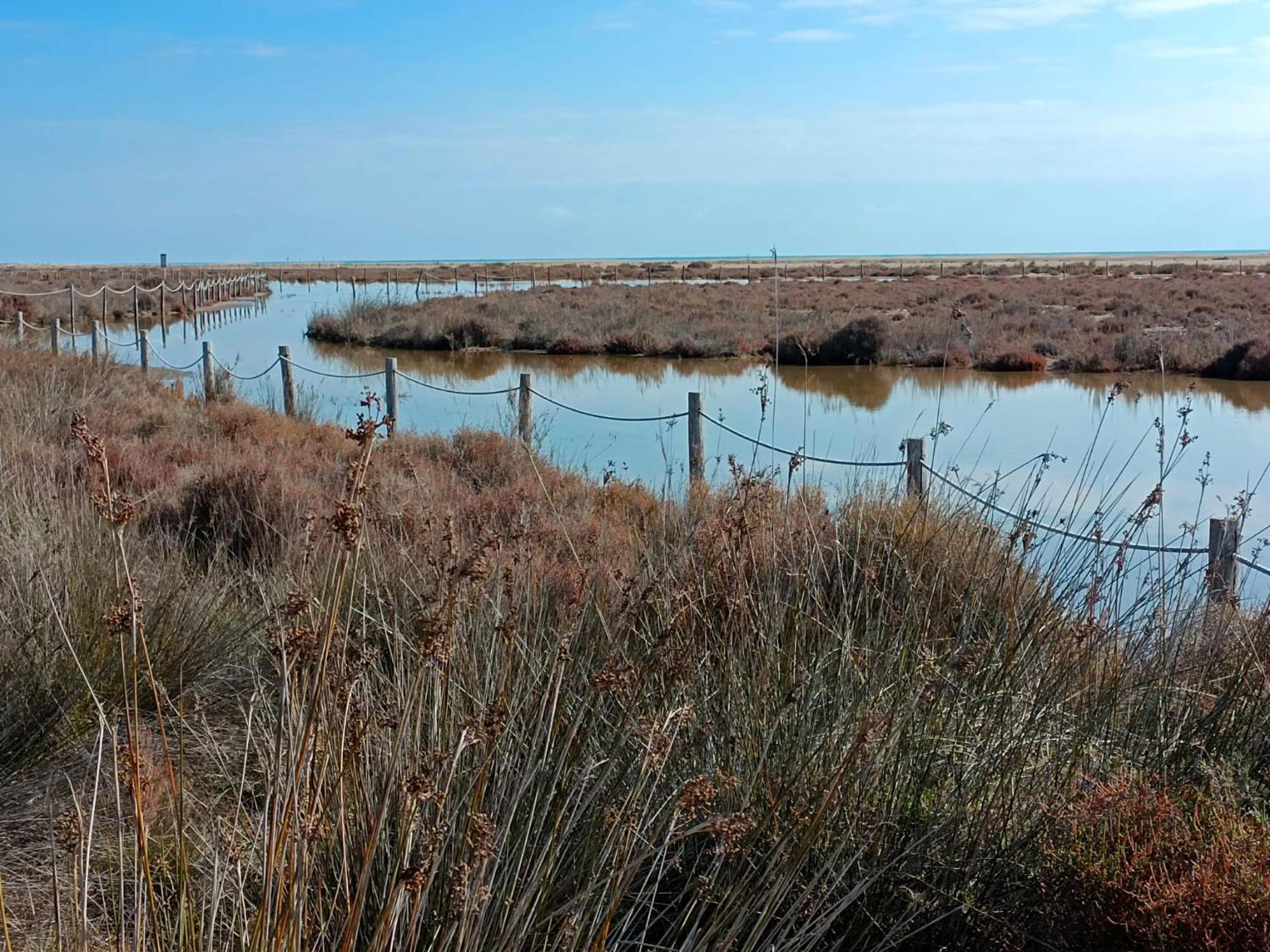 Rincon Del Delta, Apartamento En El Delta Del Ebro, Playa Trabucador Amposta, Tarragona L'Eucaliptus エクステリア 写真