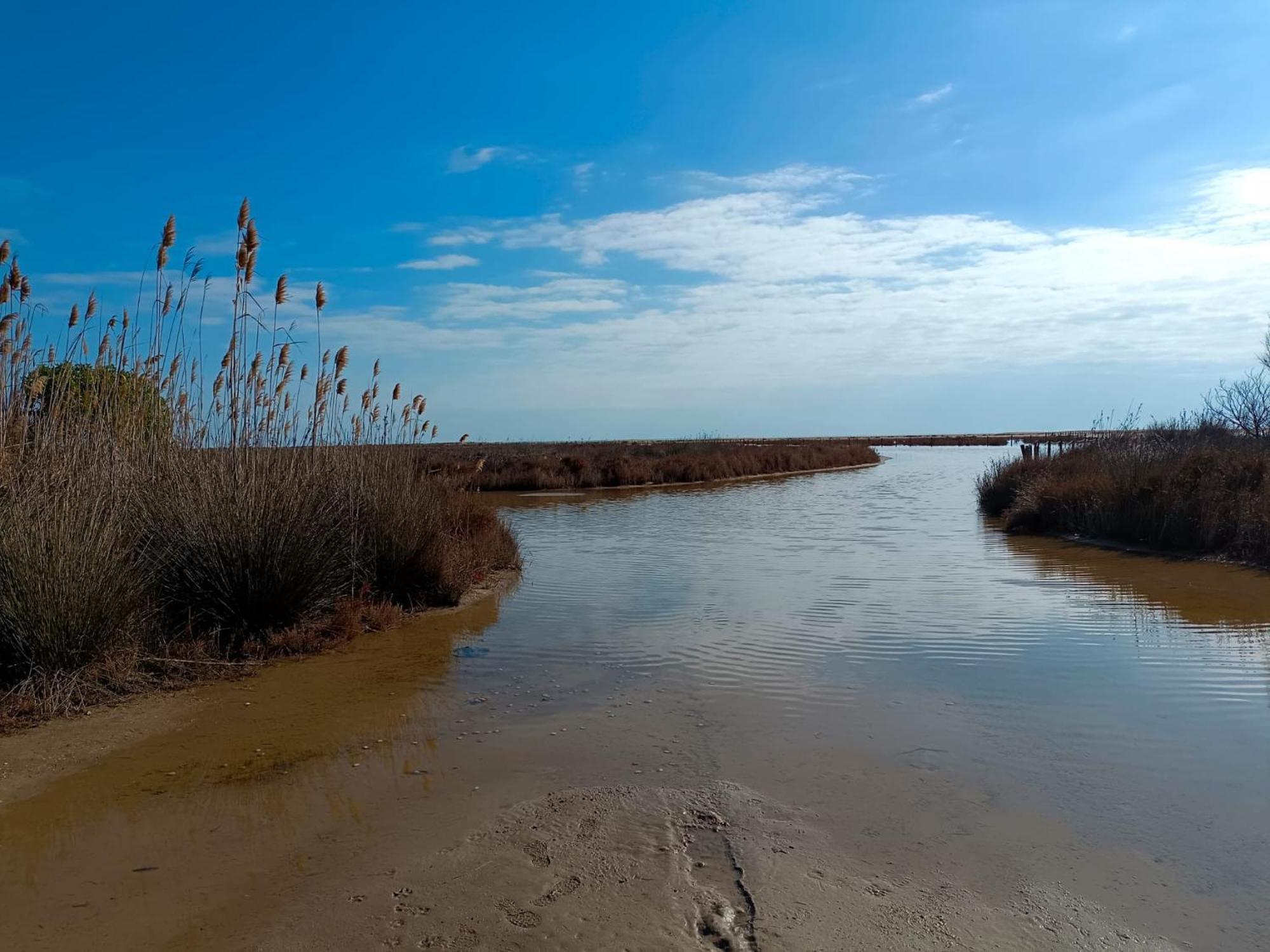 Rincon Del Delta, Apartamento En El Delta Del Ebro, Playa Trabucador Amposta, Tarragona L'Eucaliptus エクステリア 写真