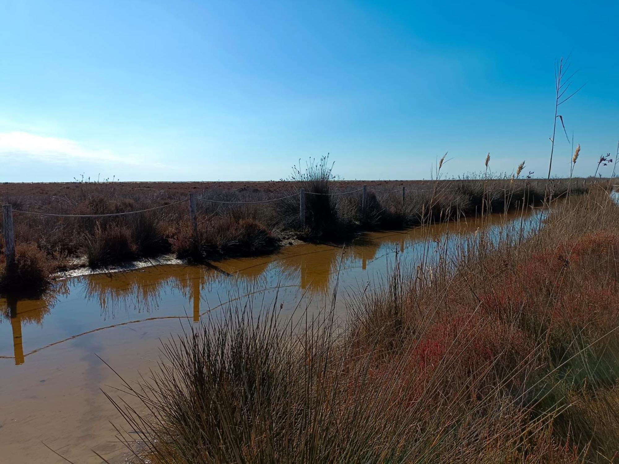 Rincon Del Delta, Apartamento En El Delta Del Ebro, Playa Trabucador Amposta, Tarragona L'Eucaliptus 部屋 写真